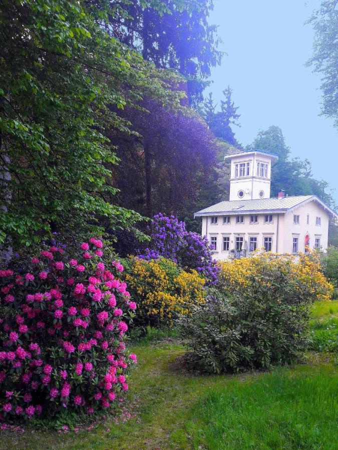 Rapunzel Trifft Dornroeschen Villa Rosenthal-Bielatal Exterior foto