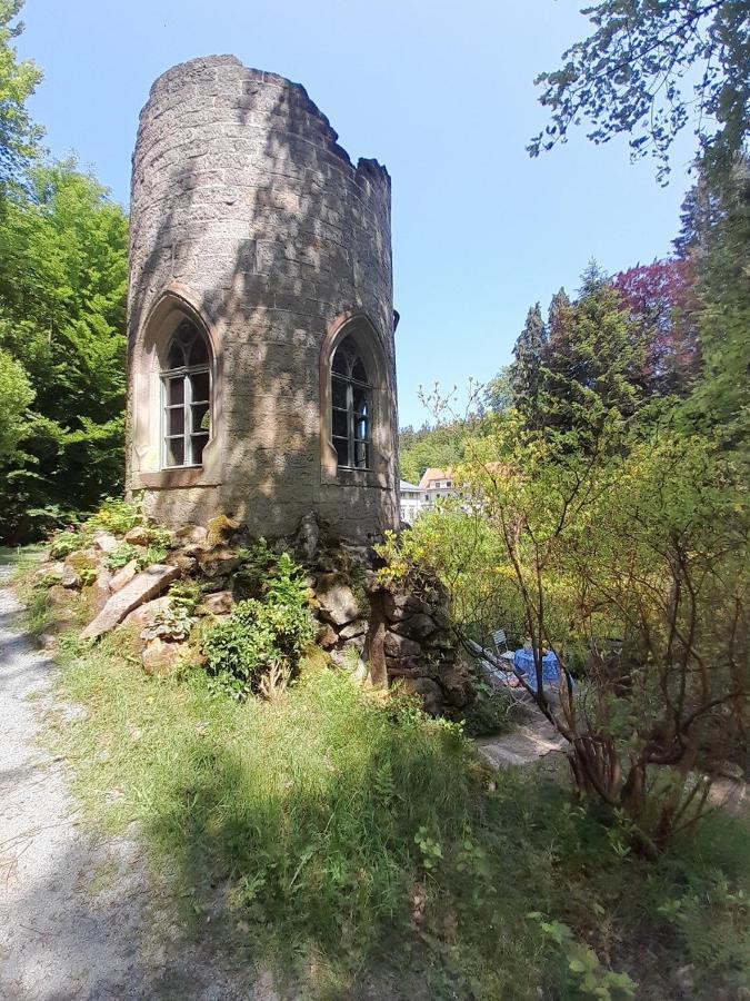 Rapunzel Trifft Dornroeschen Villa Rosenthal-Bielatal Exterior foto