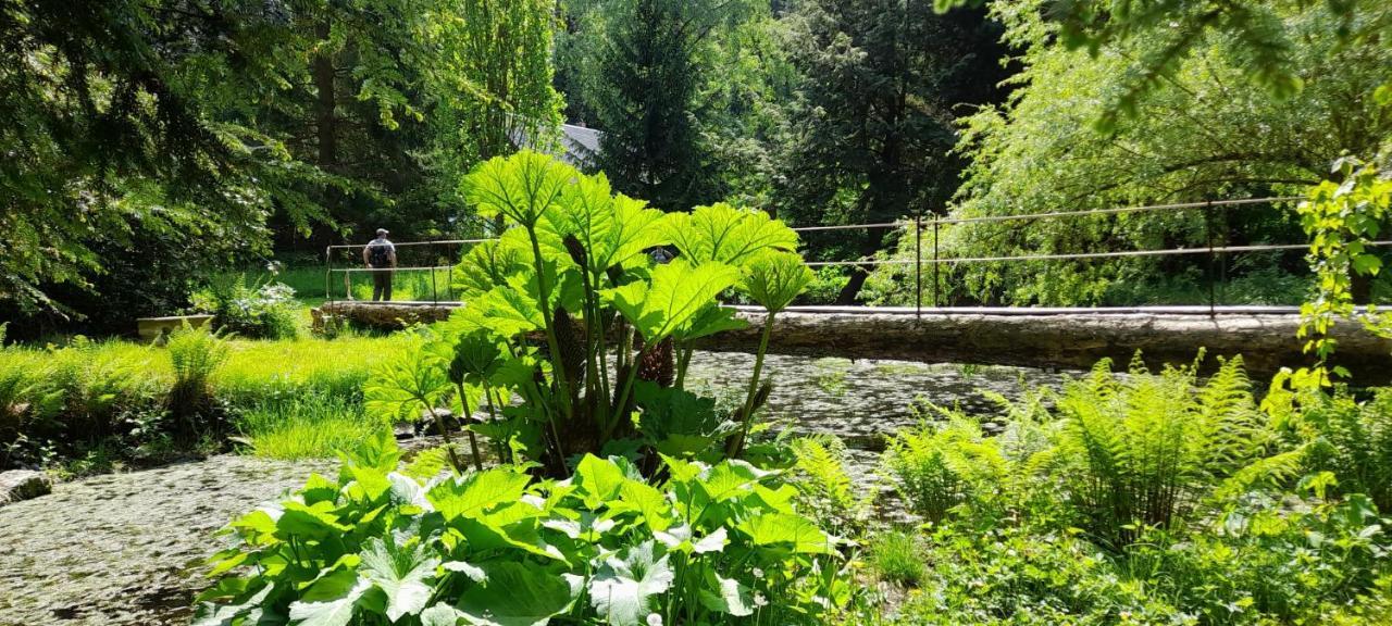 Rapunzel Trifft Dornroeschen Villa Rosenthal-Bielatal Exterior foto
