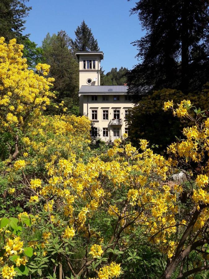 Rapunzel Trifft Dornroeschen Villa Rosenthal-Bielatal Exterior foto